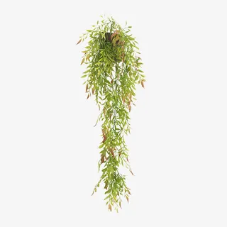 创意仿真藤蔓植物壁挂免抠 创意仿真藤蔓植物壁挂免抠