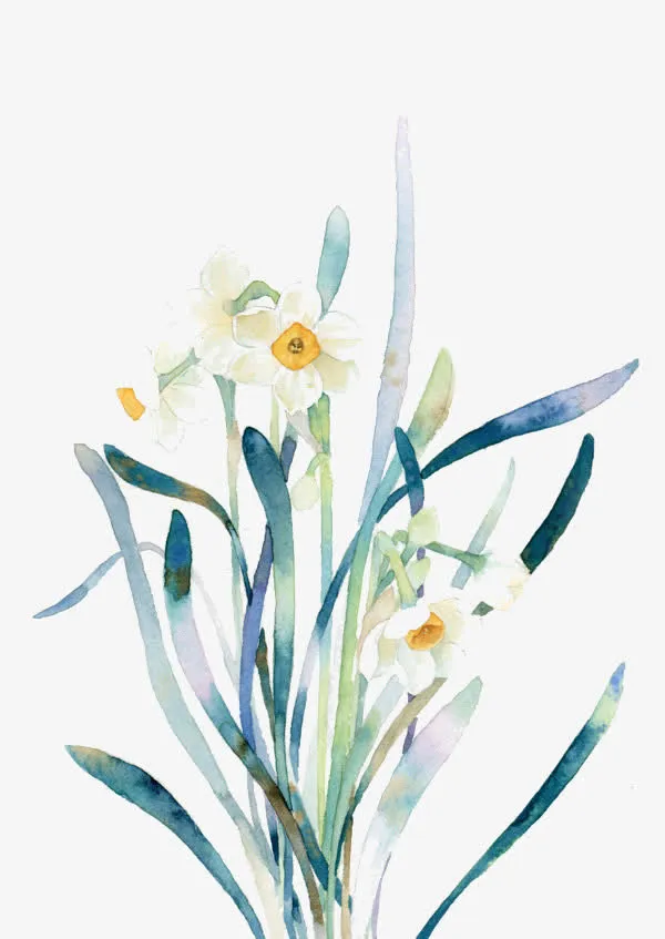 兰花兰草免抠
