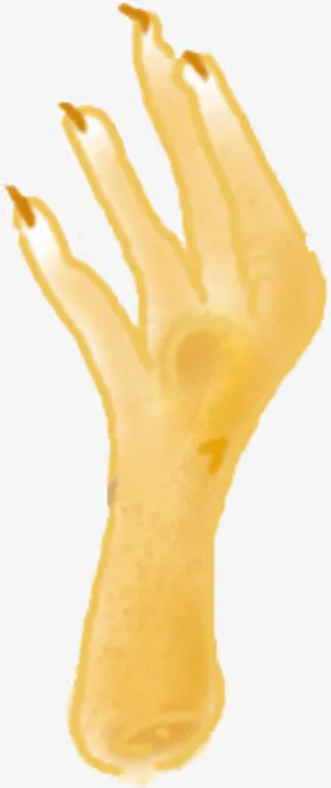 手绘鸡爪免抠