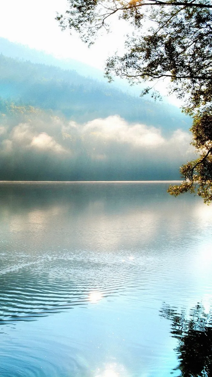 平静湖面H5背景高清