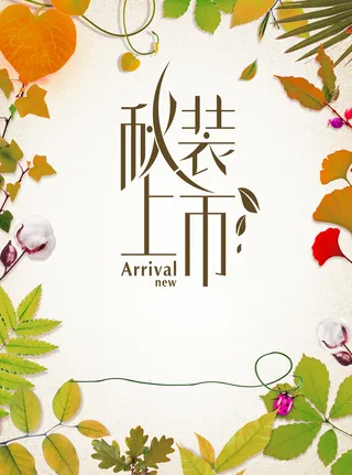 秋装新上市高清