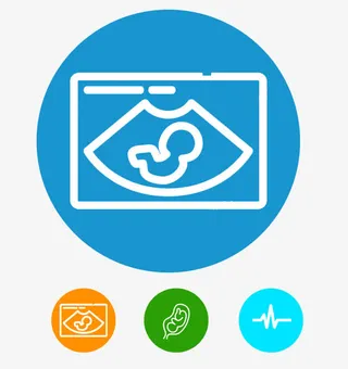 四维彩超高清免扣素材免抠