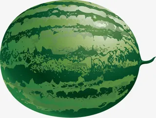 又大又圆西瓜免抠