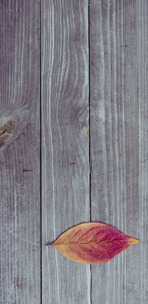 木质纹理H5背景高清