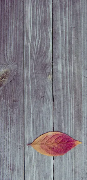 木质纹理H5背景高清