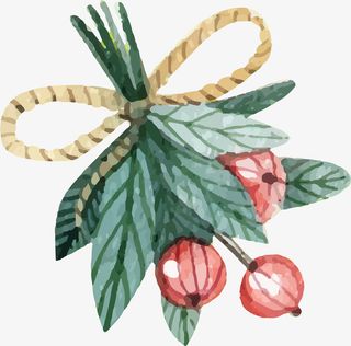 水彩植物果实免抠