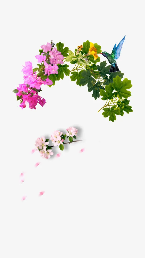 夏日之花免抠