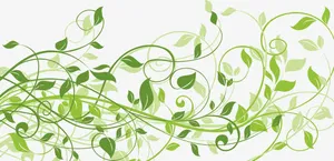 精美绿花纹矢量免抠