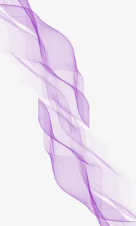 丝带 透纱 轻柔免抠