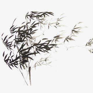 手绘竹子背景