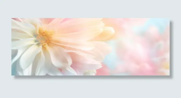 花朵背景 banner高清