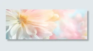 花朵背景 banner高清