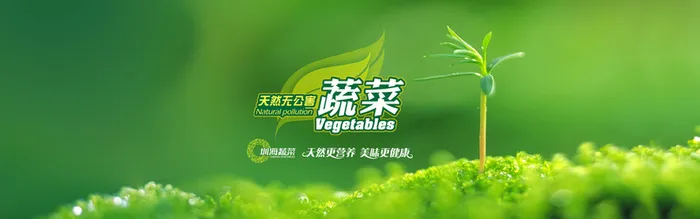 绿色有机蔬菜促销广告高清