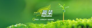 绿色有机蔬菜促销广告高清