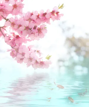 花、水、魚免抠