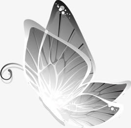 卡通灰色蝴蝶七夕情人节免抠