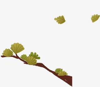 手绘松树松针免抠