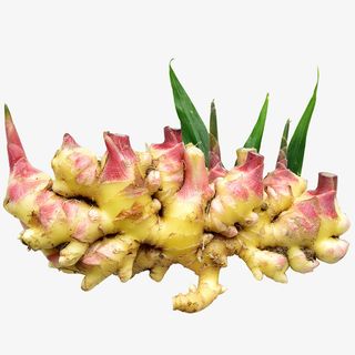 新鲜生姜摄影免抠