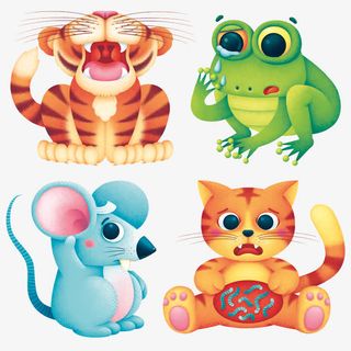 老虎老鼠青蛙小猫免抠