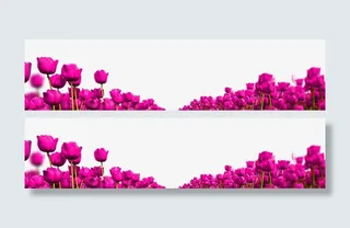 紫色花朵装饰免抠