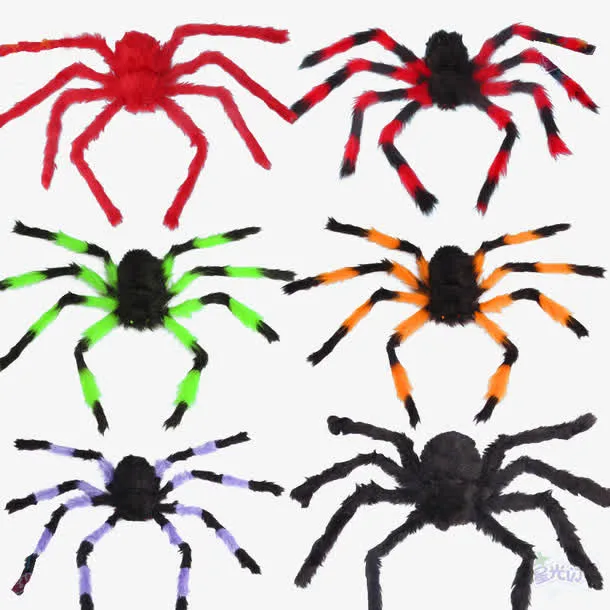 万圣节仿真蜘蛛免抠