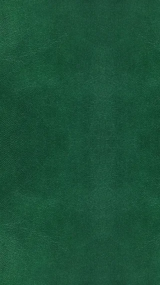 H5背景深绿高清