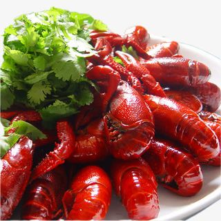 小龙虾免抠
