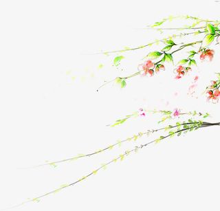 春天粉红色花朵藤蔓免抠