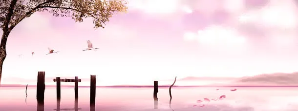浪漫唯美梦幻樱花女性热爱免抠