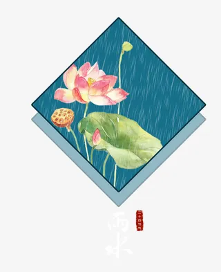 雨水雨荷免抠
