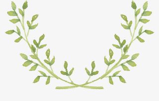 水墨绿树枝免抠