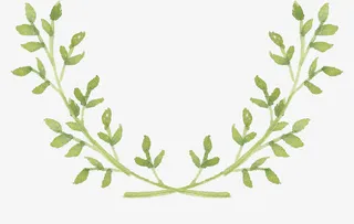 水墨绿树枝免抠