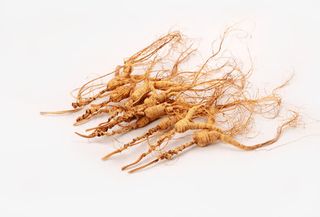 干枯的人参药材中秋免抠