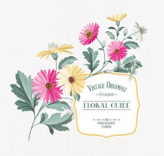 鲜花矢量素材免抠