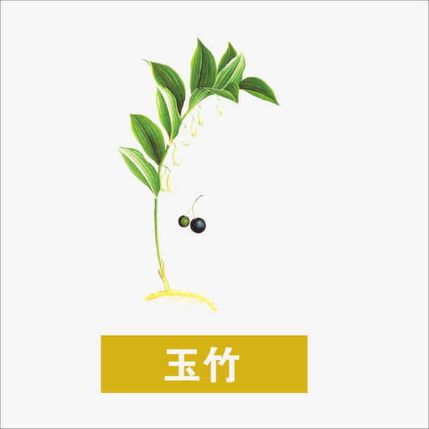 草药免抠