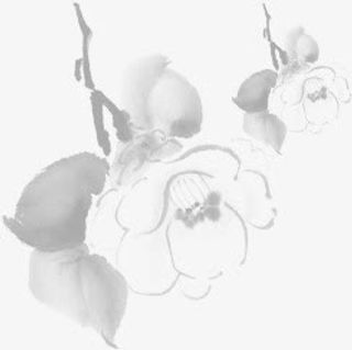 灰色花朵绿叶免抠