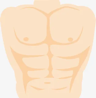 人体肌肉免抠