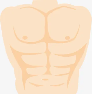 人体肌肉免抠