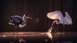 201321343465465高清