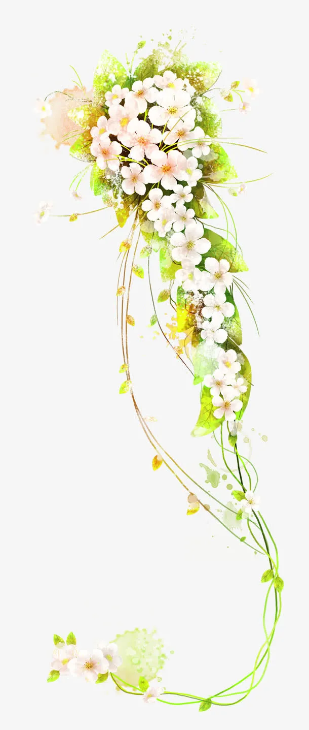 花卉图案免扣背景PNG素材