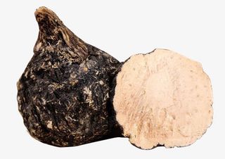 昂贵的药材免抠