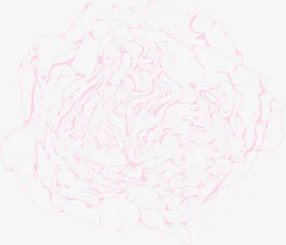 紫色线条花朵免抠