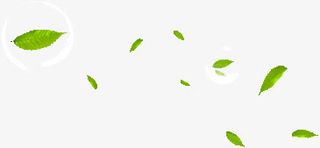 绿叶飘落免抠