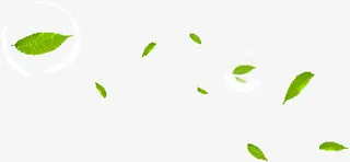绿叶飘落免抠