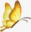 手绘黄色光效蝴蝶装饰免抠