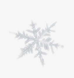 塑料质感抽象雪花免抠