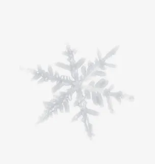 塑料质感抽象雪花免抠