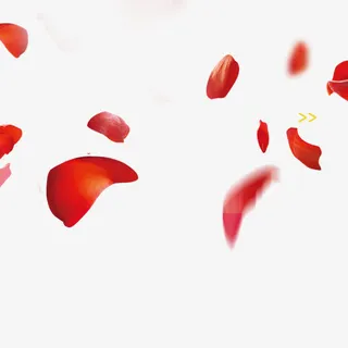 漂浮的玫瑰花免抠