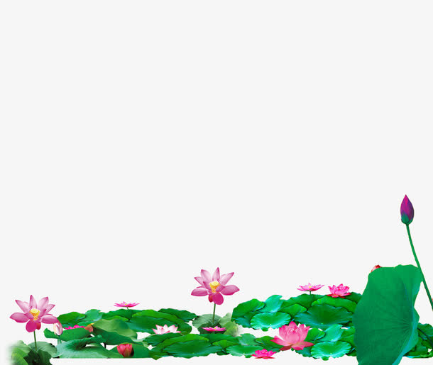 池塘免抠