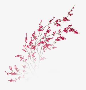 漂浮花瓣气泡简洁大方树叶树丛免抠